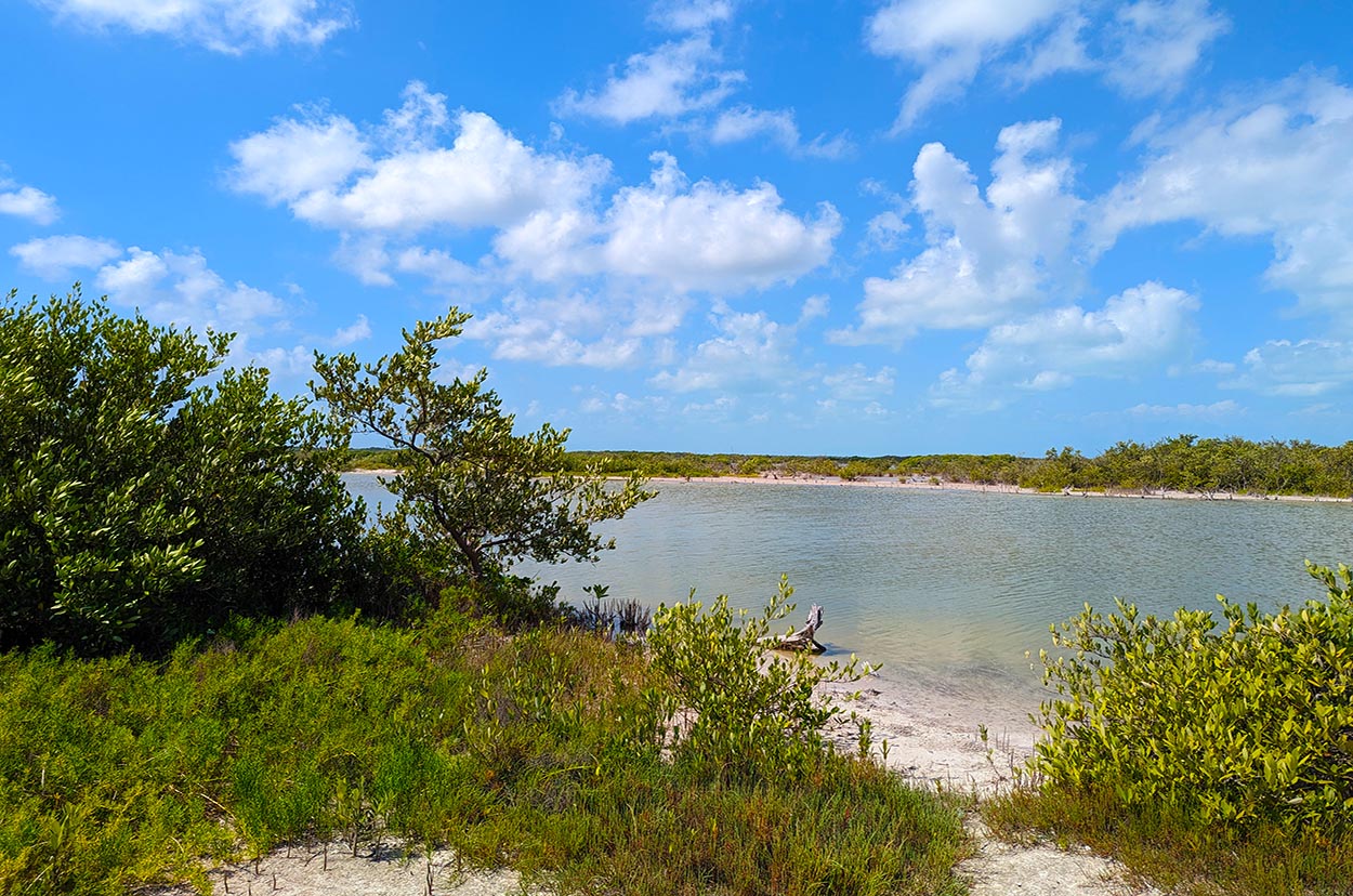 North Island Canal Lot - Vimarsana News