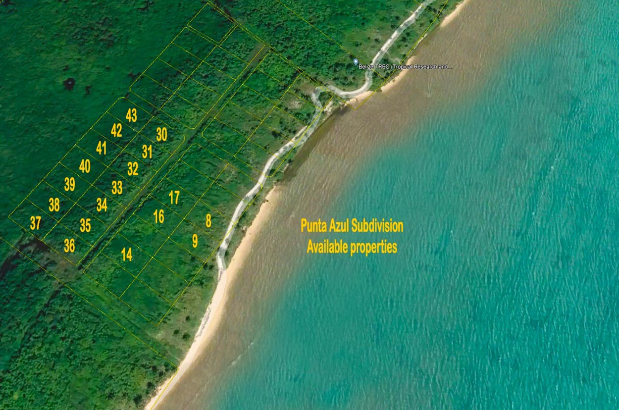 Punta Azul Off the Beach - Vimarsana News
